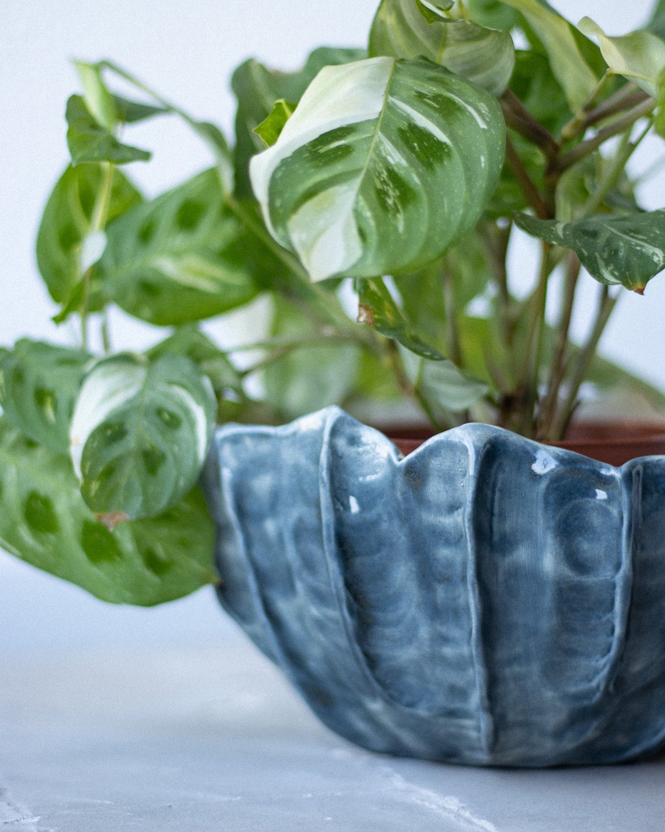 Medium Handcrafted Ceramic Flower Pot LAPA