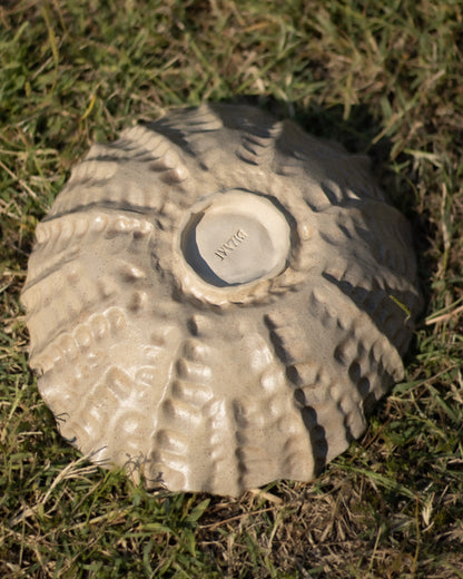Prato Oval 26 Cerâmica Artesanal LAPA