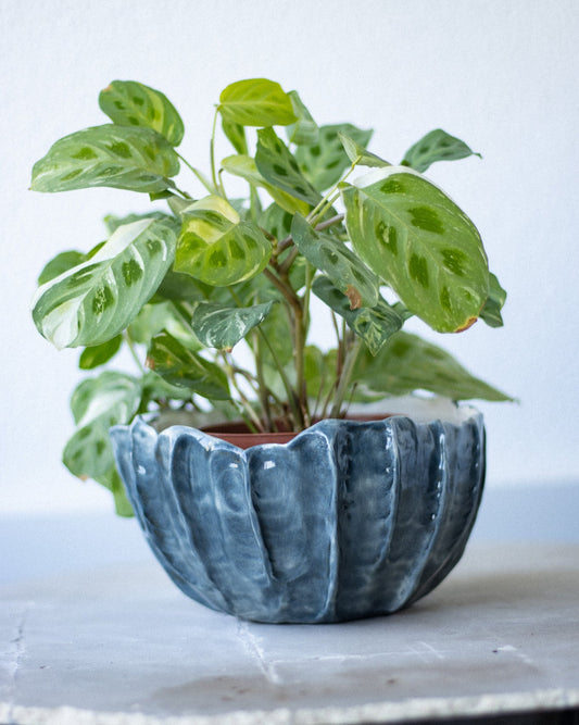 Medium Handcrafted Ceramic Flower Pot LAPA