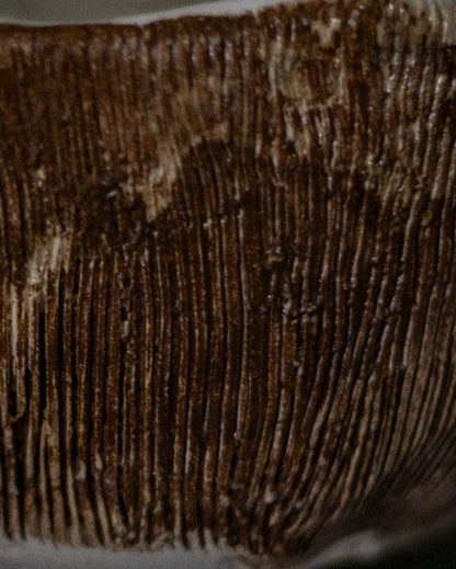 Taça Aperitivos Cerâmica Artesanal COCO SHARE